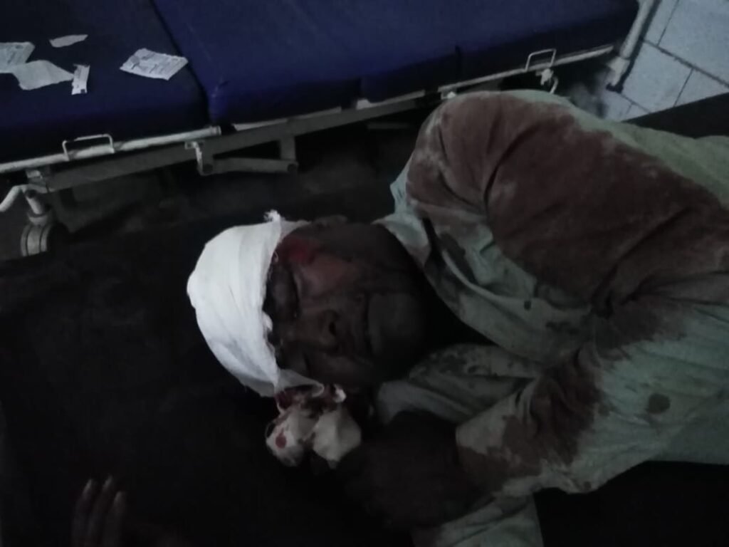 बारातियों से भरी आटो पलटी, दर्जन भर घायल 