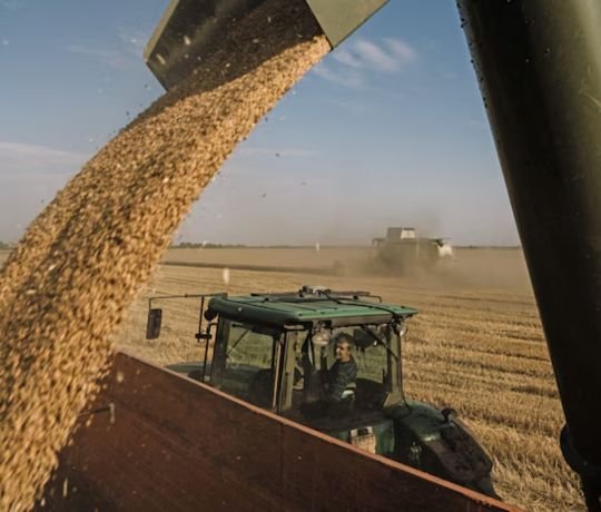 चीन ने कई देशों से अनाज के आयात में की कटौती