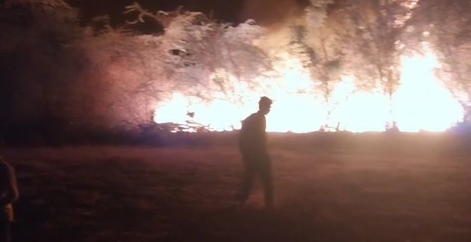 निचरौली के जंगलों में फिर लगी भीषण आग