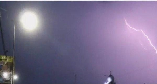 शिवपुरी जिले में तेज आंधी के साथ बारिश, बिजली गिरने से 11 भैंसों की मौत