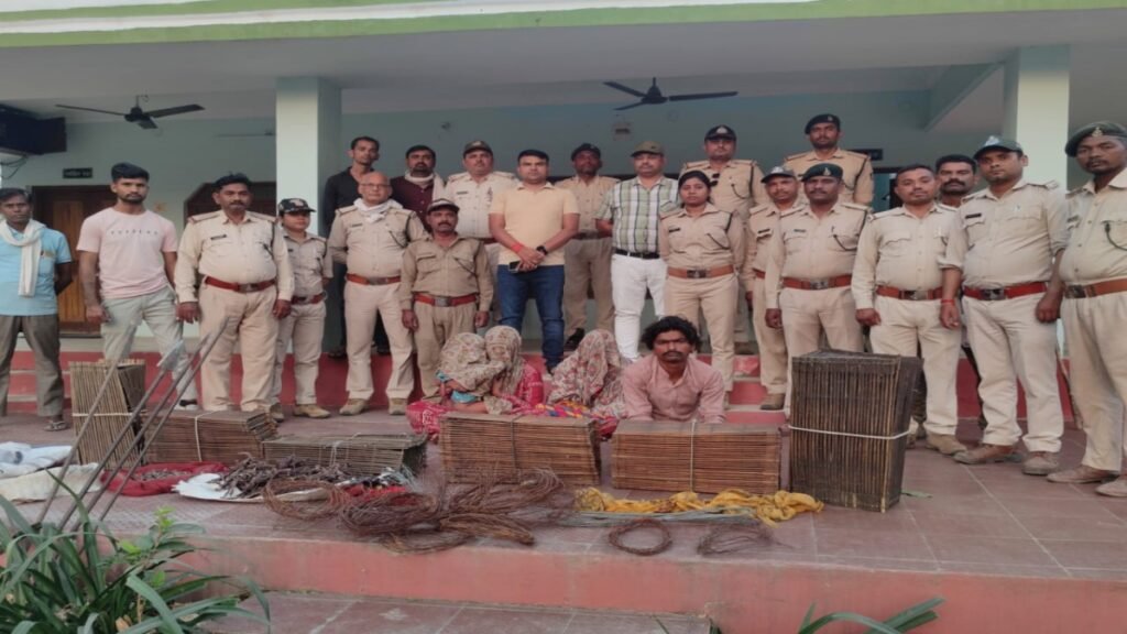 पारधी बस्ती से वन्य प्राणियों के अवशेष और शिकार के हथियार बरामद