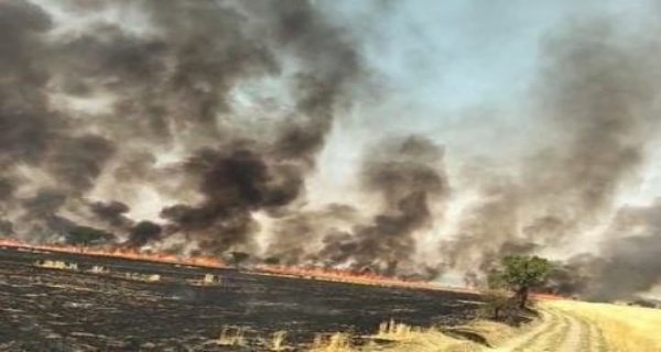 रन्नौद तहसील में भीषण आग, सैकड़ों बीघा नरवाई जल कर राख, फायर ब्रिगेड वाहन से गिरकर किसान घायल