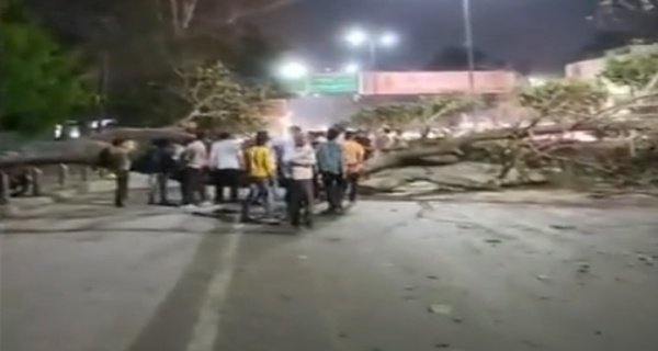 वीआईपी रोड पर दो सौ साल पुराना पेड़ गिरा
