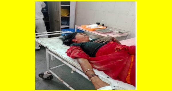 बाघ का महिला पर हमला, अस्पताल में भर्ती