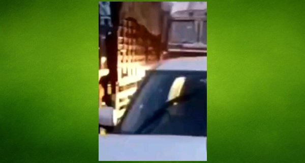 अनियंत्रित ट्रक के कारण 8 से 10 गाड़ियां आपस में भिड़ी