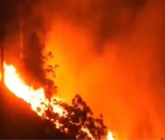 नेपाल के जंगल में लगी आग,चार की मौत