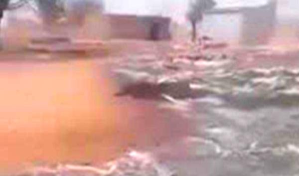 दक्षिण-पश्चिमी सूडान में दो दिनों में अर्धसैनिक हमलों में 300 लोगों की मौत