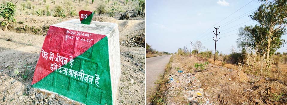जियावन के चौराडांड़ के जंगल में बांस के ठूठ दिखने लगे