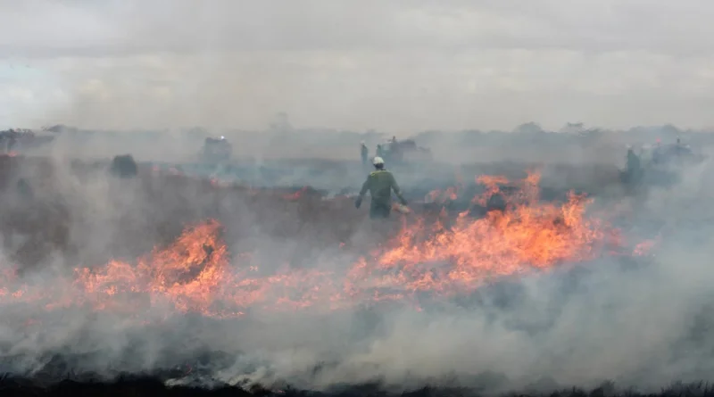 नरवाई जलाने वाले किसानों पर 141500 का जुर्माना