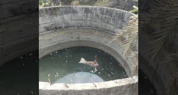 कुएं से लापता युवक का शव बरामद