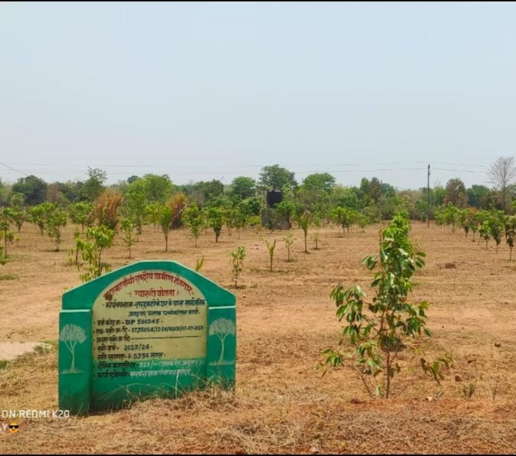 अतिक्रमण हटा पौधे लगे अब बन गया फलदार बगीचा