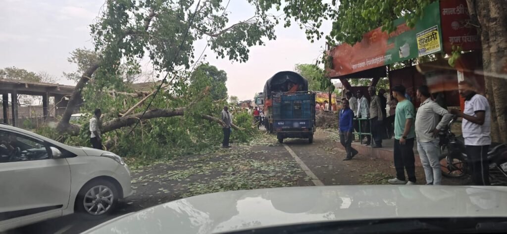 आंधी में सड़क पर पेड़ गिरने से लगा जाम