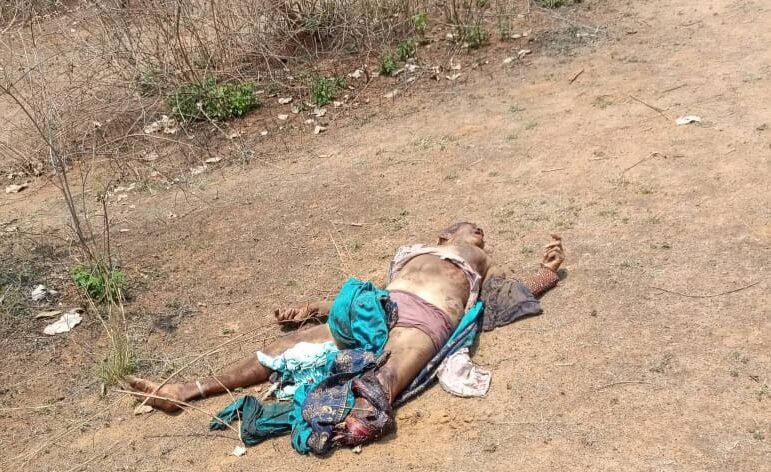 पत्ती तोड़ने गए तीन ग्रामीणों को हाथियों ने कुचला, इलाके में दहशत