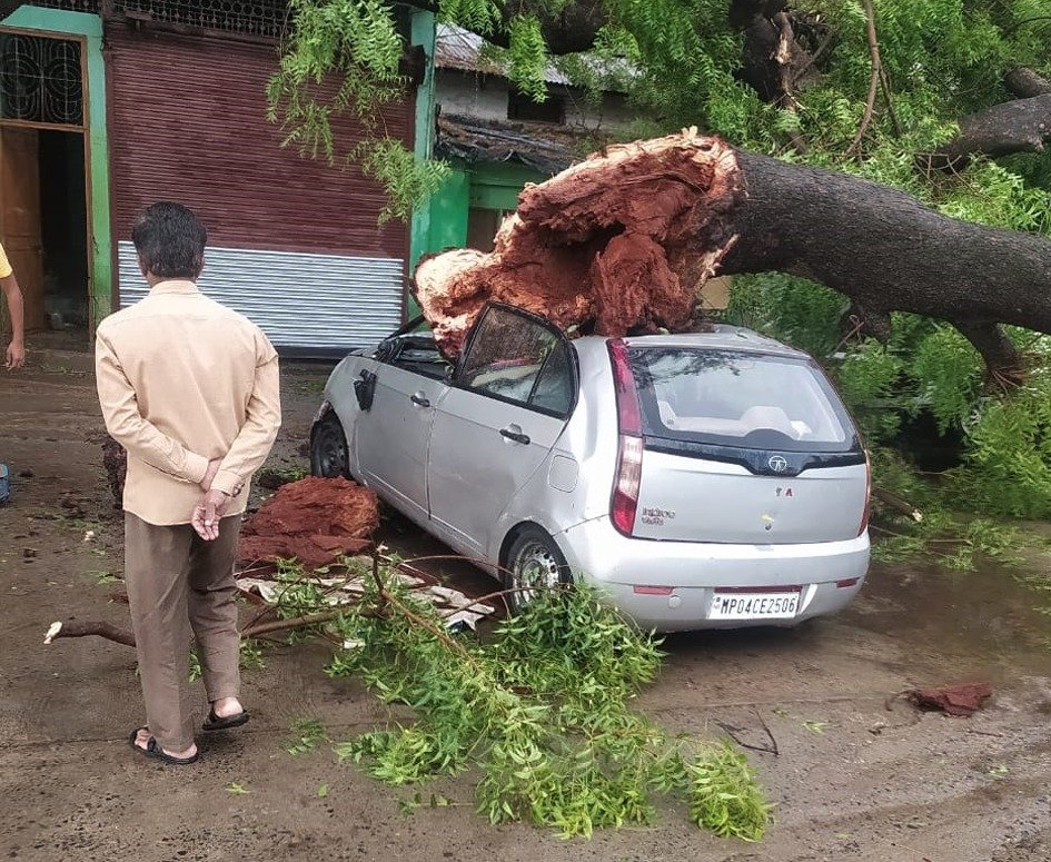 तेज हवाओं से उखड़े पेड़, खंबे हुए धराशायी