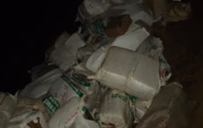 जंगल में मिला गांजे का जखीरा, 3 करोड़ से अधिक कीमत