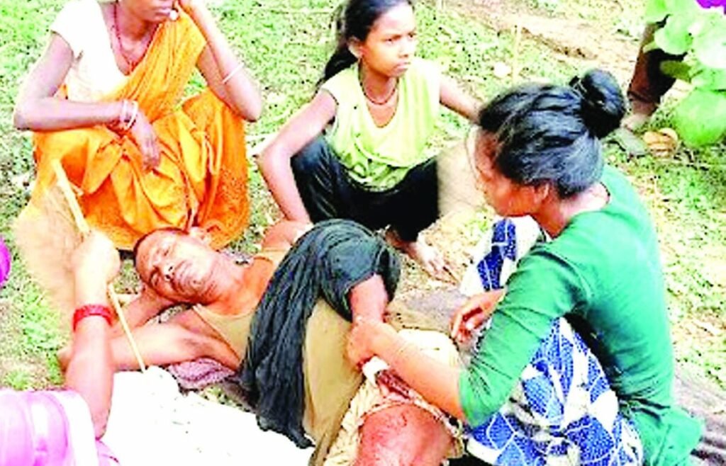 बाघ के हमले से चाचा-भतीजा घायल