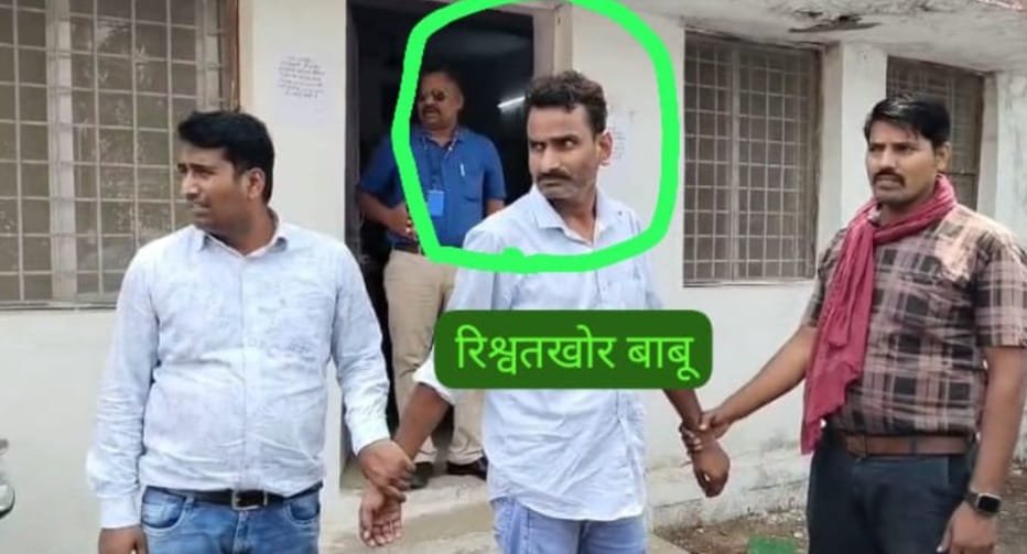 रिश्वत लेते पकड़ाया राजस्व विभाग का बाबू