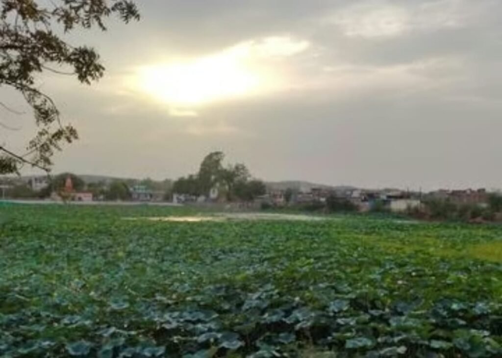 रायसेन में पांच दिन पहले 7 से 10 जून के बीच दस्तक देगा मानसून