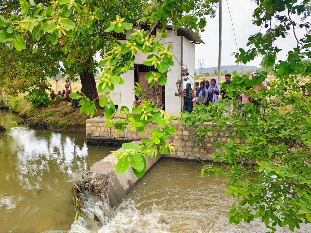 तालाब में तैरता दिखा मरगमच्छ,ग्रामीणों ने जाल में फंसाकर किया काबू