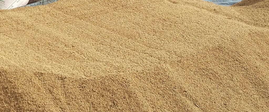 बहन के नाम से काम कर रही थी ऑपरेटर, दर्ज हुई एफआईआर