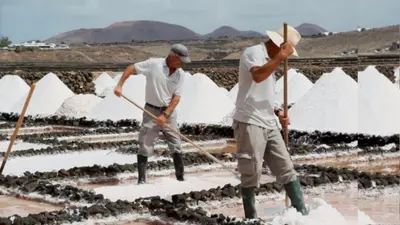 नमक माफिया तैयार करने के आरोप में श्रीलंकाई व्यापार मंत्रालय आलोचना के घेरे में