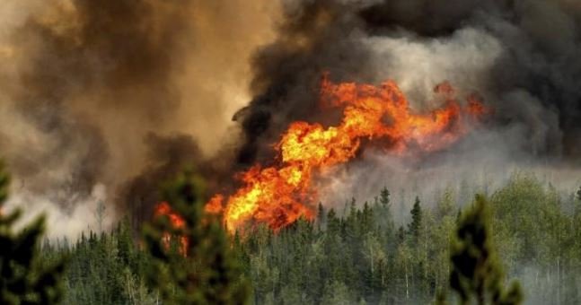 कनाडा के जंगलों में लगी आग वाले क्षेत्र से 25 हजार से अधिक लोगों को निकाला गया