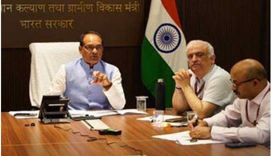 मूंग और उड़द की मूल्य समर्थन योजना पर होगी खरीद