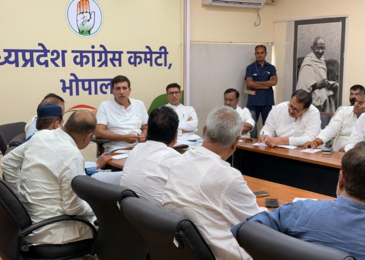 शक्ति प्रदर्शन: 3 को संगठन सृजन अभियान, राहुल की वरिष्ठ नेताओं संग मैराथन बैठक