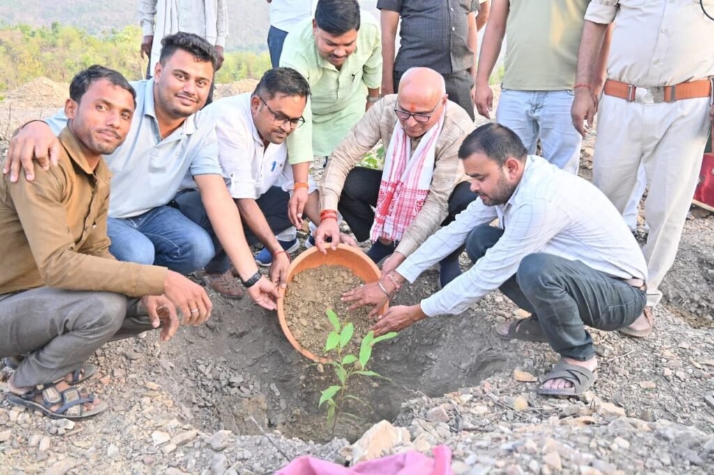 सीधी सांसद ने किया विश्व पर्यावरण दिवस पर पौधारोपण 