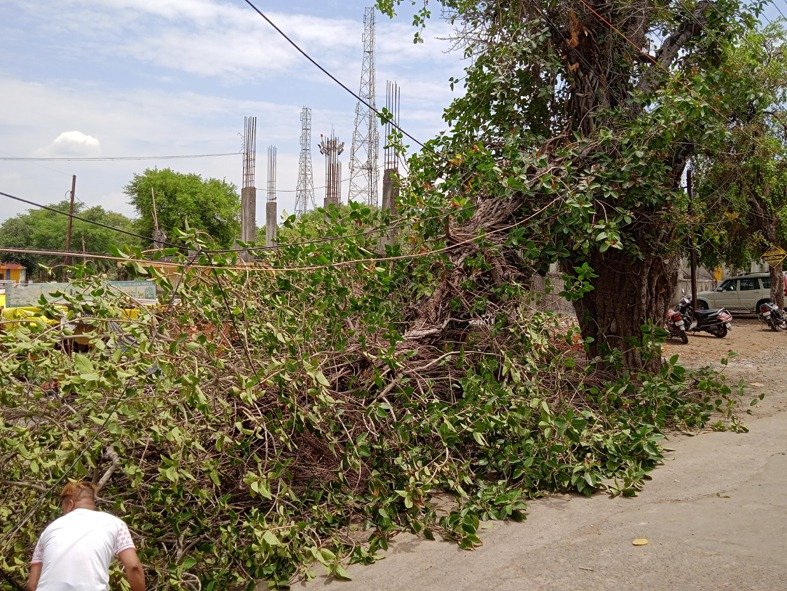दो जगह गिरे पेड़, बिजली के तार टूटे,आधे शहर में दो घंटे बिजली रही गुल