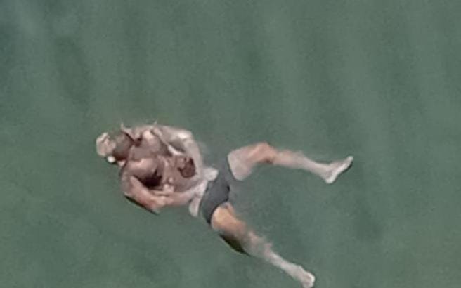 सिंध नदी में मिला अज्ञात शव, इलाके में मची सनसनी