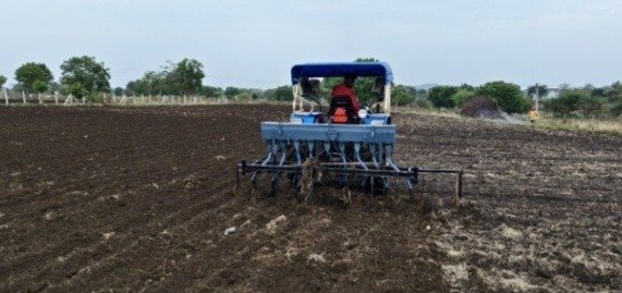 खेतो में बुआई कार्य जारी, अंकुरित हुई फसले