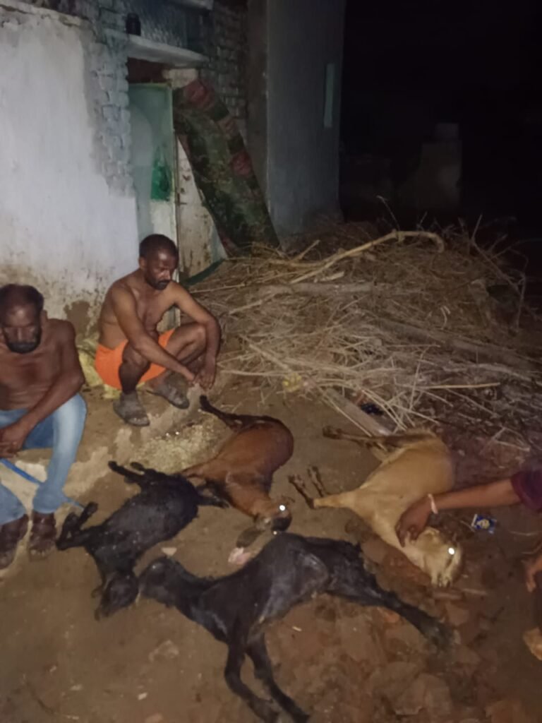 तेज बिजली चमक से मकान गिरा