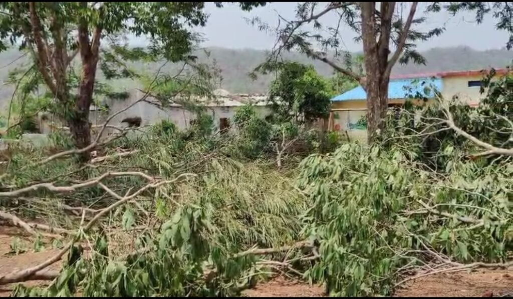 दो मिनट की आंधी ने मचाई तबाही, बैतूल के धाराखोह में भारी नुकसान