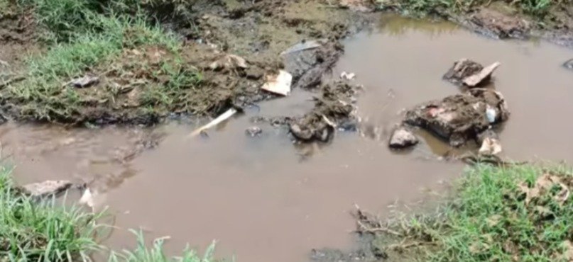 गौर नदी में बह रहा भैंसों का गोबर-मूत्र