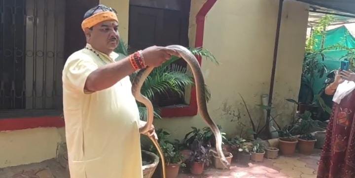 रसोई कक्ष में खिड़की से लिपटा था आठ फीट लंबा सांप