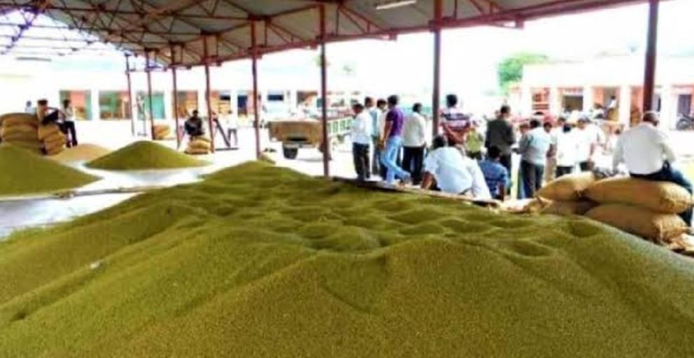 मूंग खरीद न करने की घोषणा से किसानों में रोष