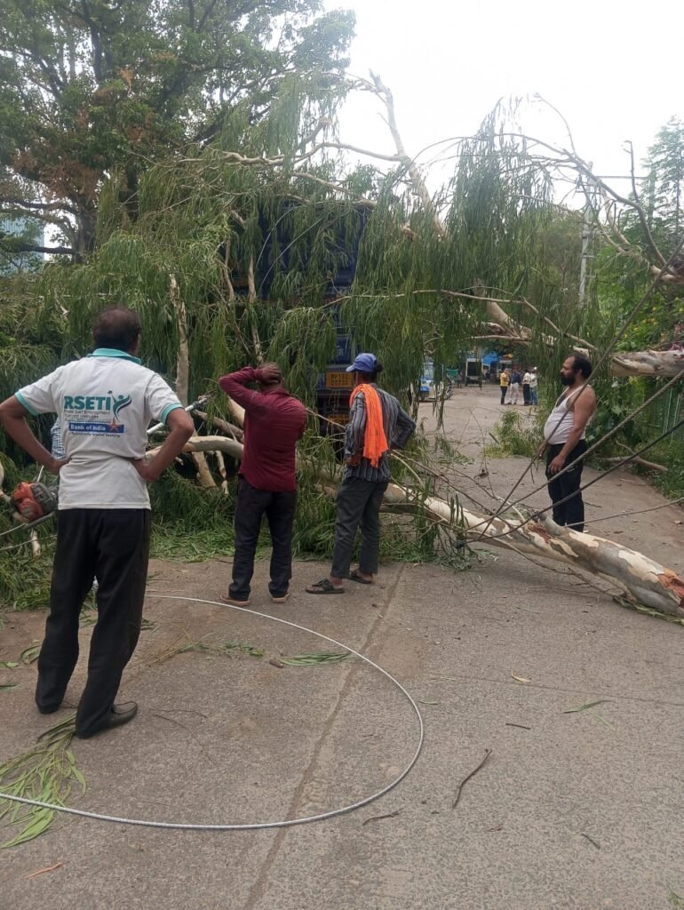आंधी-तूफान से पेड़ गिरे, बिजली गुल, उमस से लोग रहे परेशान