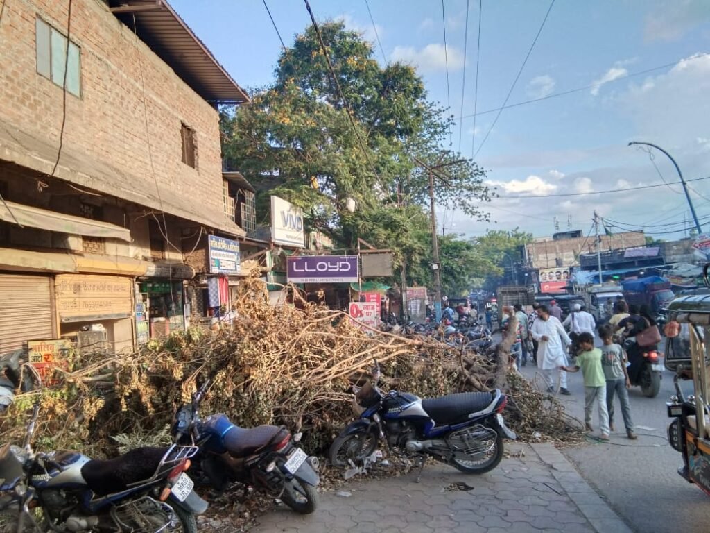 लापरवाही: खजराना और मूसाखेड़ी में बारिश में गिरे पेड़ काटकर  सड़क किनारे छोड़े