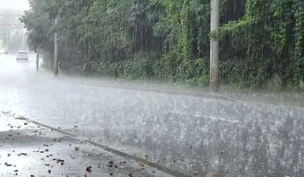 सागर के राहतगढ मे 24 घंटे मे 4 इंच बारिश