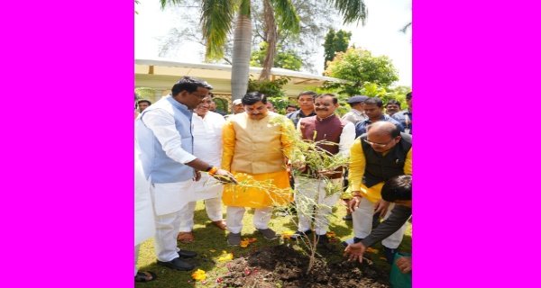 CM-VD ने लगाए सिंदूर, रक्त चंदन और आंवले के पौधे