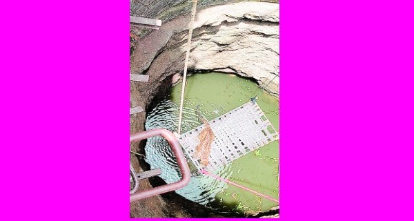 वन विभाग की टीम ने किया तेंदुए का रेसक्यू