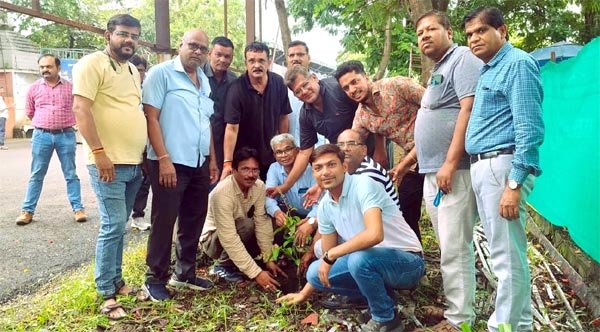 जन्मदिन-सालगिरह पर पौधरोपण की परंपरा, मंडी परिसर में बढ़ रही हरियाली