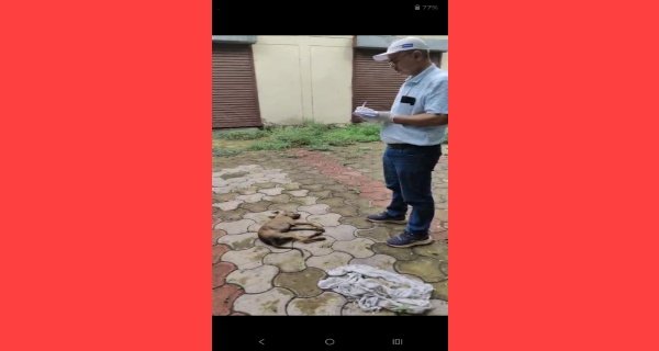 जानवर कौन: श्वान के बच्चों को मार डाला, एफआईआर दर्ज