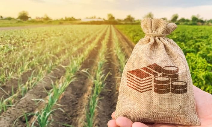 करोड़ों किसानों का इंतजार खत्म! पीएम किसान सम्मान निधि की 20वीं किस्त इस दिन हो सकती है जारी, खातों पर रखें पैनी नजर