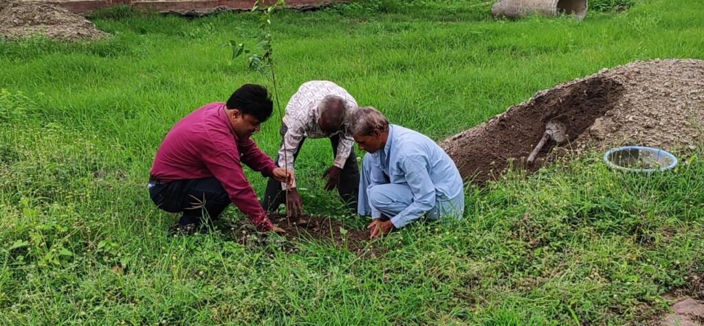 पौधा रोपण महाअभियान अंतर्गत लोक निर्माण विभाग ने 1205 पौधे रोपित किए