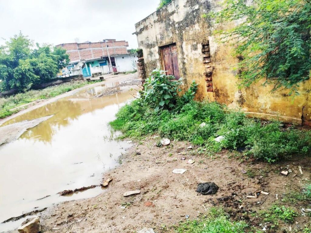 पशु चिकित्सालय की भूमि पर अतिक्रमण,पशु चिकित्सा अधिकारी ने SDM को लिखा पत्र 