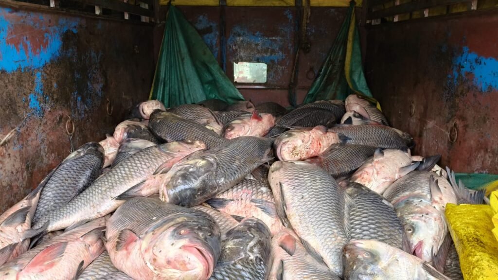 मछलियों का परिवहन करते दो गिरफ्तार  