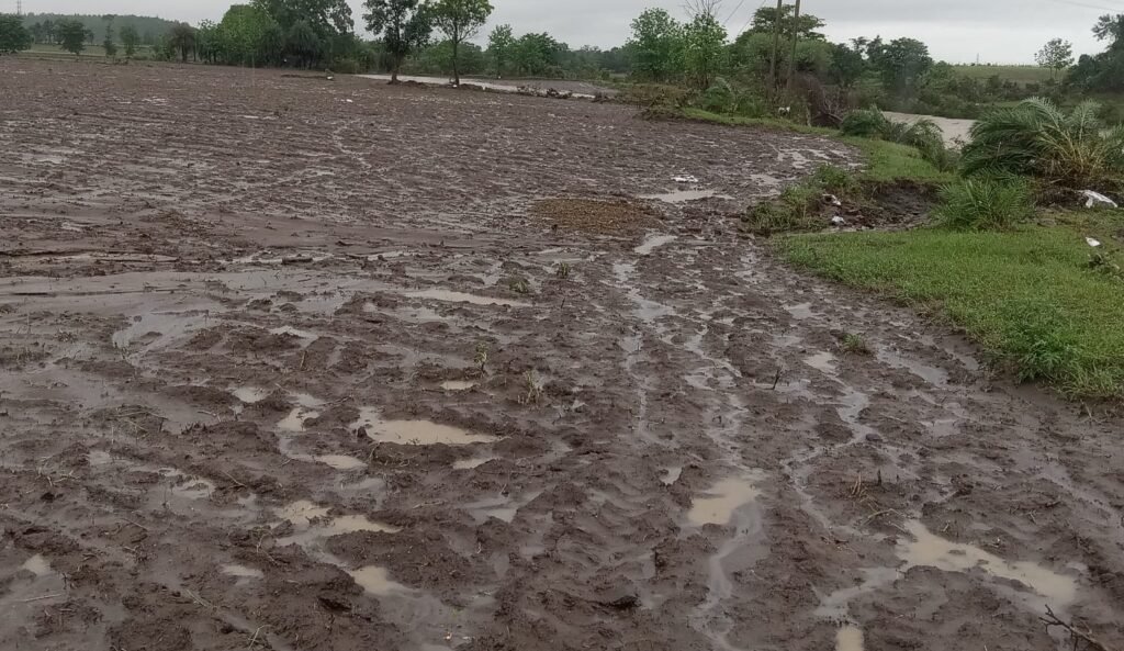 किसानों की मेहनत पर पानी फेर गया आलोन नदी की बाढ़, फसलें बर्बाद