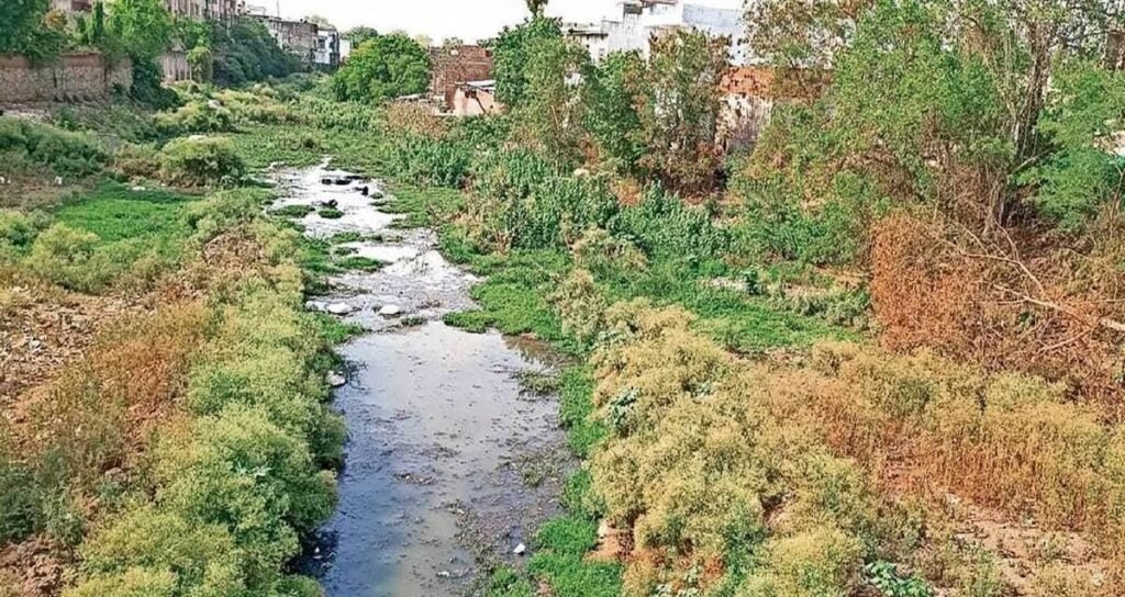 वैशाली नदी में डूबे युवक का मिला शव